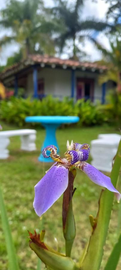 Finca Hotel Villa Del Sol 普韦布洛保 外观 照片